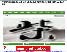 Hotels in Japan, aqjintinghotel.com