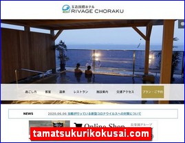 Hotels in Japan, tamatsukurikokusai.com